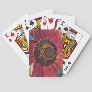 Rote Sonnenblume Spielkarten