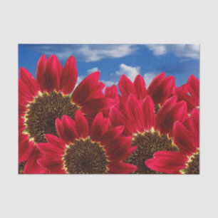 Rote Sonnenblumen und Blauer Himmel - Gewebepapier Seidenpapier
