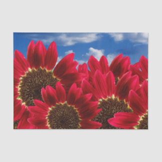 Rote Sonnenblumen und Blauer Himmel - Gewebepapier Seidenpapier