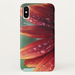 Rote Sonnenblumenblätter und Regenfälle Case-Mate iPhone Hülle