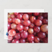 Rote Stachelbeeren Foto Postkarte (Vorne/Hinten)