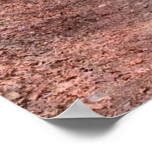 rote Stadtbahn Poster (Ecke)