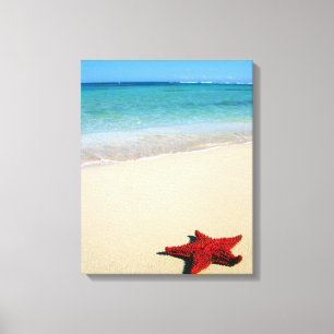 Rote Starfish auf weißem Sand-Strand Leinwanddruck