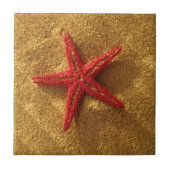 rote Starfish Fliese (Vorderseite)