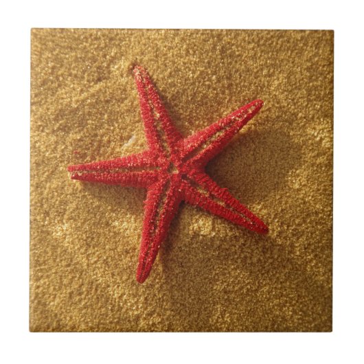 rote Starfish Fliese (Vorderseite)