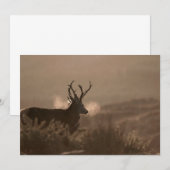 Rote Sterne Einladung (Vorne/Hinten)