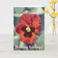 Rote Stiefmütterchen-Blumenkunst-Blumen-Geburtstag
