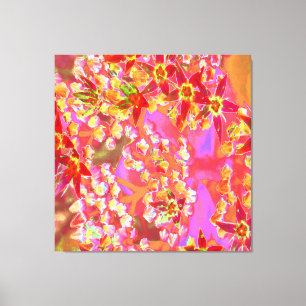 Rote Sukkulenten-Sedum-Blüten auf verbranntem Oran Leinwanddruck