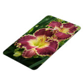 Rote Taglilien Magnet (Linke Seite)