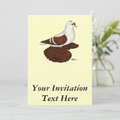 Rote Taube Einladung (Stehend Vorderseite)