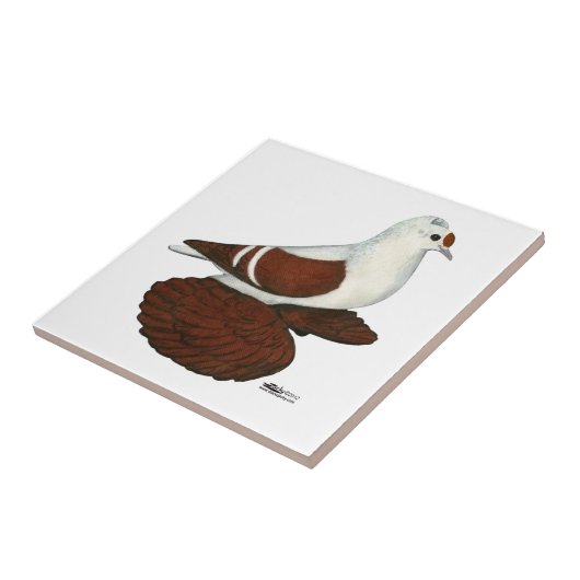 Rote Taube Fliese (Seite)