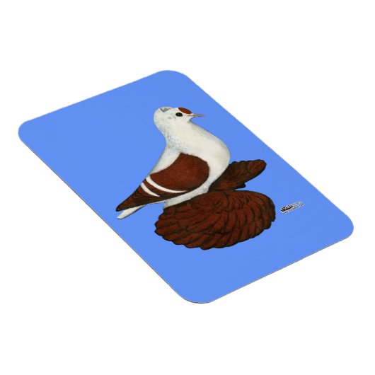 Rote Taube Magnet (Rechte Seite)