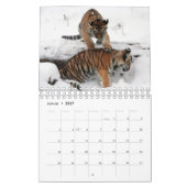 Rote Tiger als Kalender (Jan 2027)