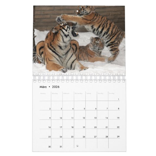 Rote Tiger als Kalender (Mär 2026)