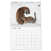 Rote Tiger als Kalender (Feb 2026)
