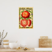 Rote Tomate Retro-Viktorianische Botanische Kunst Poster (Küche)