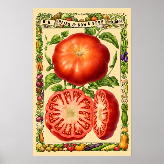 Rote Tomate Retro-Viktorianische Botanische Kunst Poster (Vorne)