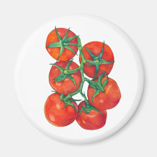 Rote Tomaten Magnet