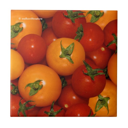 Rote Tomaten/Paradeiser Fliese (Vorderseite)