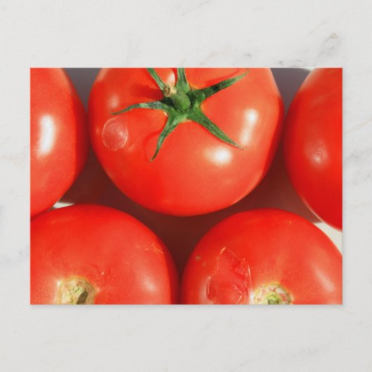 Rote Tomaten Postkarte (Vorderseite)