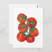 Rote Tomaten Postkarte (Vorne/Hinten)