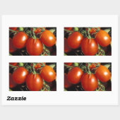 Rote Tomaten Rechteckiger Aufkleber (Blatt)