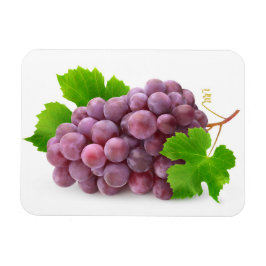 Rote Traube Magnet