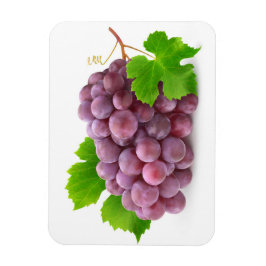 Rote Traube Magnet