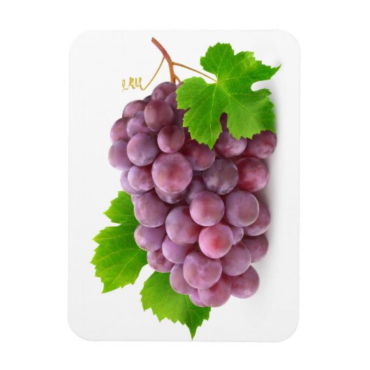 Rote Traube Magnet (Vertikal)