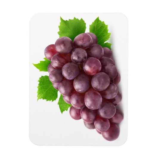 Rote Traube Magnet (Vertikal)