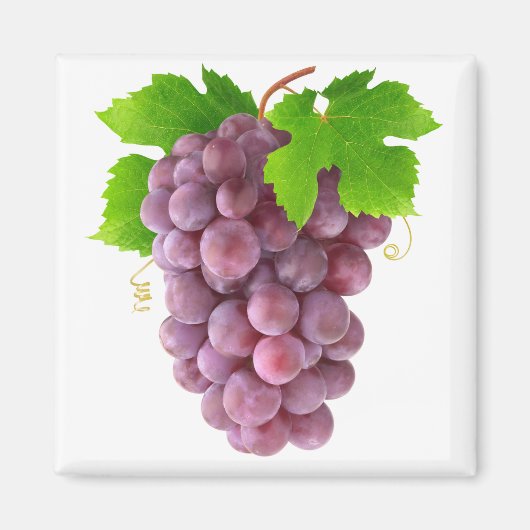 Rote Trauben Magnet (Vorne)