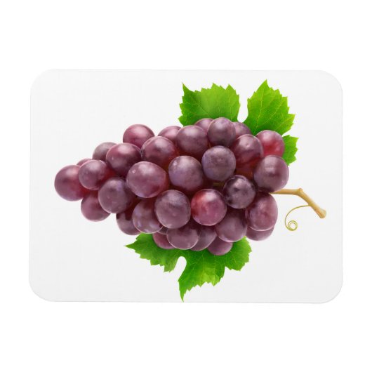 Rote Trauben Magnet (Horizontal)