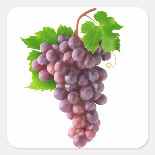 Rote Trauben Quadratischer Aufkleber (Vorderseite)