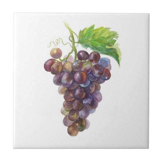 Rote Trauben. Wasserfarben Kunst Fliese (Vorderseite)