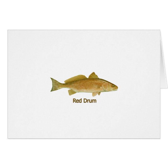 Rote Trommel (betitelt) (Vorderseite (Horizontal))