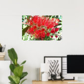 Rote Tropenflora der Bottlebrush-Blume Poster (Heimbüro)