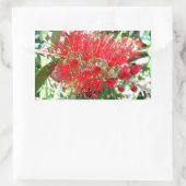 Rote Tropenflora der Bottlebrush-Blume Rechteckiger Aufkleber (Tasche)