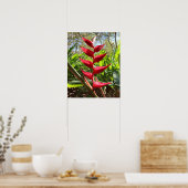 Rote tropische Blume - Heliconia Poster (Küche)