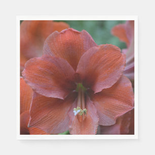 Rote tropische Blume Serviette