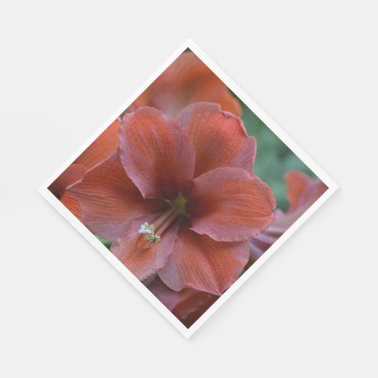 Rote tropische Blume Serviette (Ecke)