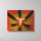 Rote Tulip-Blume Nah Leinwanddruck (Vorderseite)