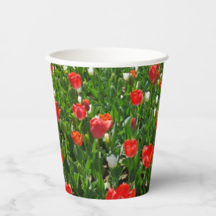 Rote Tulip Blume Naturfotografie Pappbecher