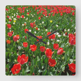 Rote Tulip Blume Naturfotografie Quadratische Wanduhr