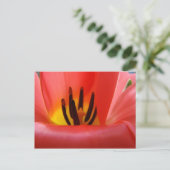 Rote Tulip Blume Postkarten Garten (Stehend Vorderseite)