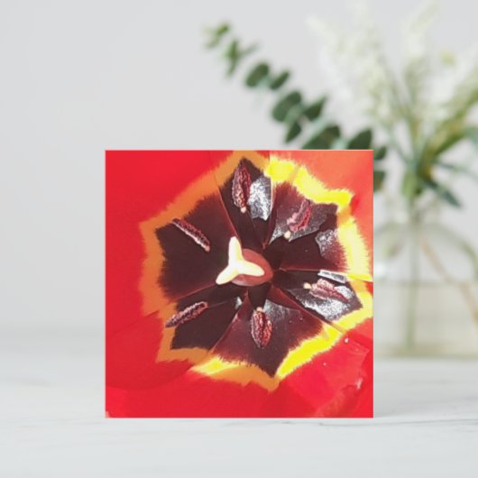 Rote Tulip-Flachkarte (Stehend Vorderseite)