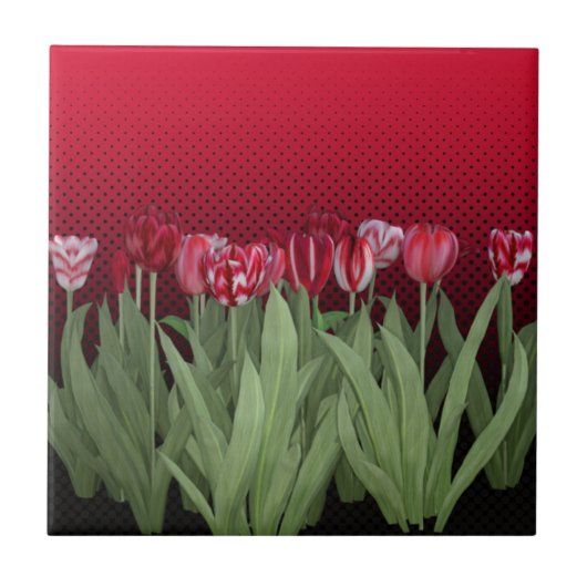 Rote Tulips auf Gradient Fliese (Vorderseite)