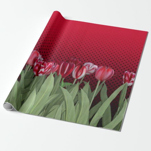 Rote Tulips auf Gradient Geschenkpapier (Ungerollt)