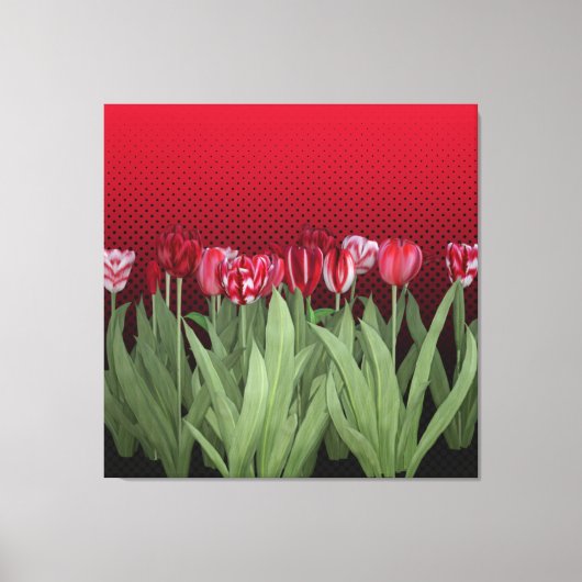 Rote Tulips auf Gradient Leinwanddruck (Vorderseite)