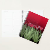 Rote Tulips auf Gradient Planer (Anzeige)