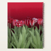 Rote Tulips auf Gradient Planer (Rückseite)